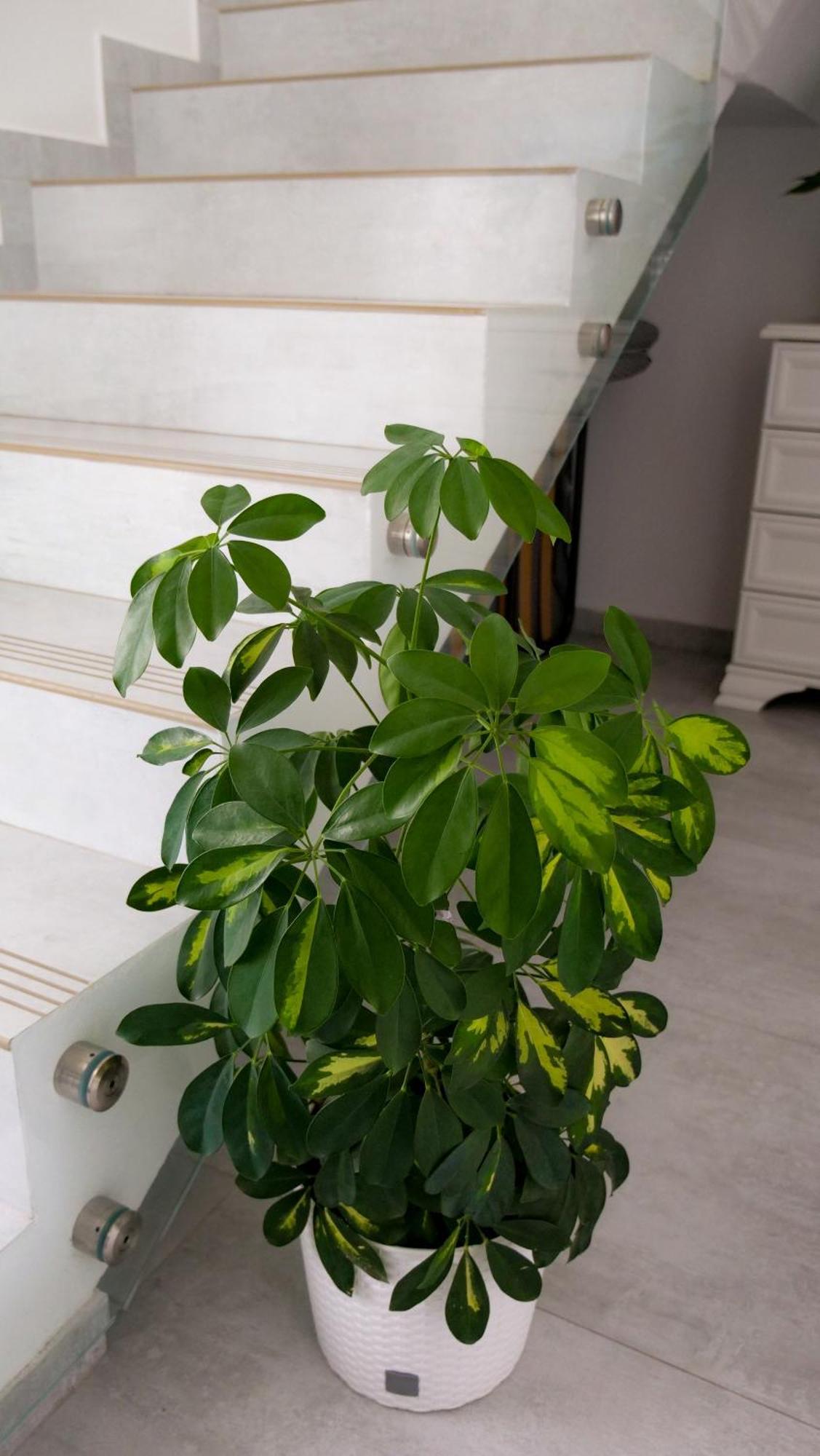 Casa Ambientt 호텔 쿠티에데아게스 외부 사진